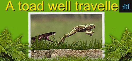 A toad well travelled PC Specs