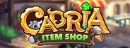 Cadria Item Shop System Requirements