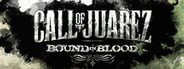 Call of Juarez: Bound in Blood System Requirements