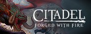Citadel: Forged with Fire System Requirements