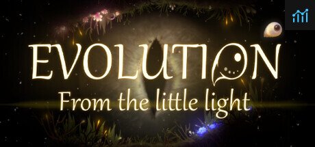Evolution: From the little light PC Specs