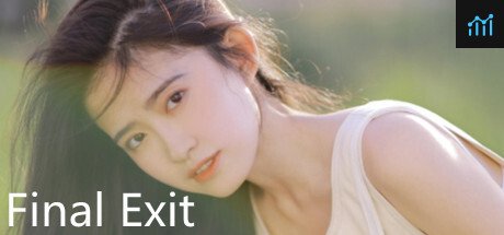 Final Exit PC Specs