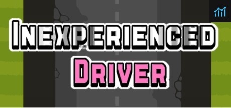 Inexperienced Driver PC Specs