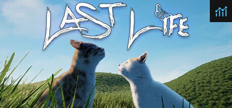 Last Life PC Specs