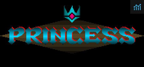 Can I Run PRINCESS?