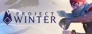 Project Winter System Requirements