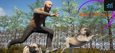 Can I Run Pug and Seek?