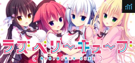 Can I Run Raspberry Cube?
