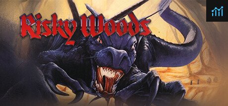 Risky Woods PC Specs