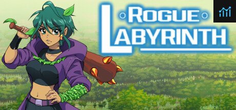 Can I Run Rogue Labyrinth?