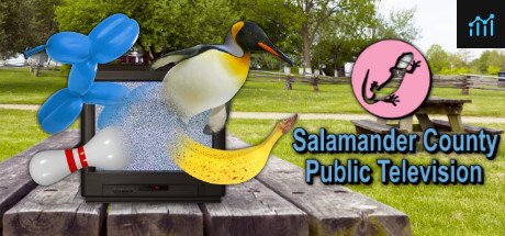 Salamander County Public Television PC Specs