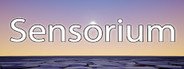 Sensorium System Requirements