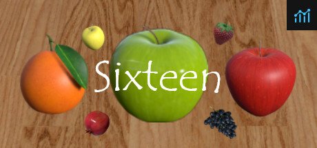 Can I Run Sixteen?