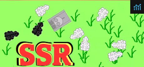 Can I Run SSR?