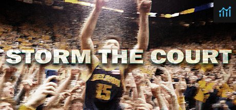 Storm The Court PC Specs