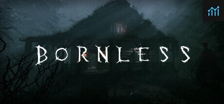 The Bornless PC Specs