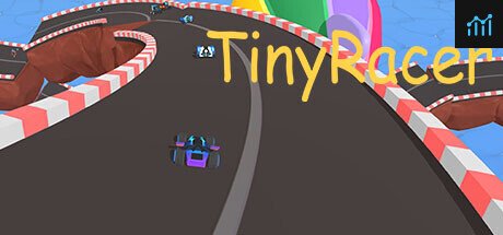 TinyRacer PC Specs