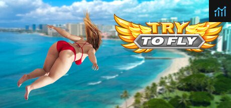 Try to Fly PC Specs