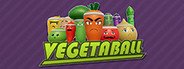 Vegetaball System Requirements