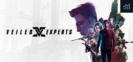VEILED EXPERTS PC Specs